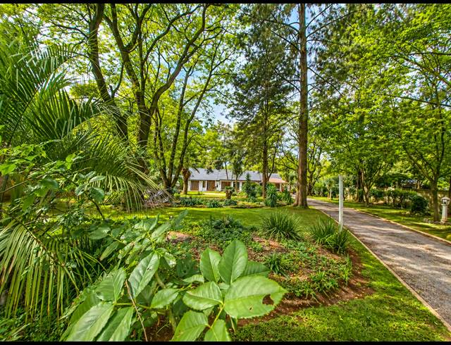 4 BEDROOM HOUSE FOR SALE IN HENLEY ON KLIP